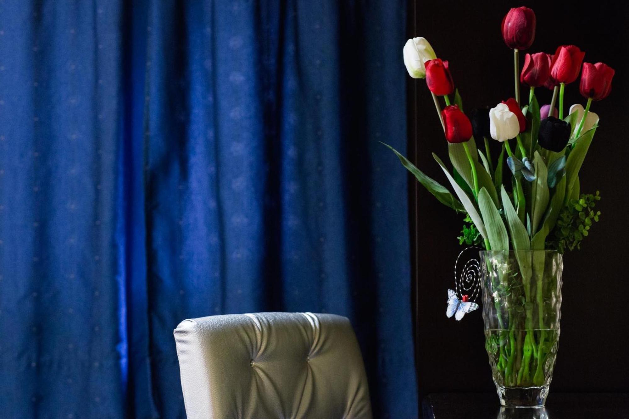 Hotel Tulipa Braganca Bilik gambar